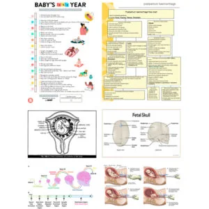 10020-GYNECOLOGY & OBSTETRICS