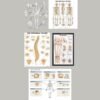 10000-ORTHOPAEDICS