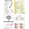 10020-GYNECOLOGY & OBSTETRICS