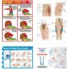 10030-GENERAL HEALTHCARE & EMERGENCY