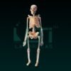 10270-MINI SKELETON
