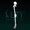 10280-LEG BONES MODEL LIFE SIZE