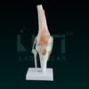 10370-KNEE JOINT