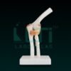 10380-ELBOW JOINT