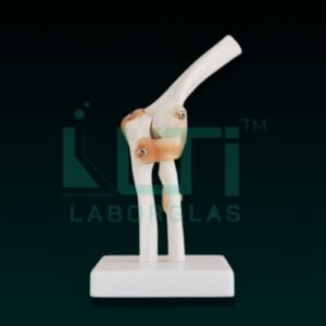 10380-ELBOW JOINT