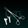 10440-Allice Tissue Forcep