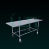 13540-Embalming Table