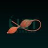 4630-Burette, Chloroform Bellow with Cotton Net