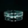 6450-Petri Dish (BORO 3.3 Glass)