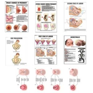9990-IMPORTANT NURSING CHARTS